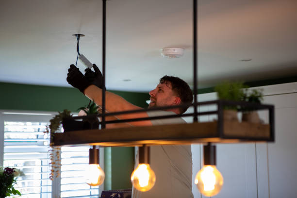 Best Home Electrical Repair  in Theodore, AL